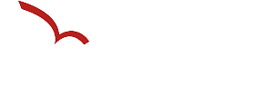 Decisive Solutions LLC